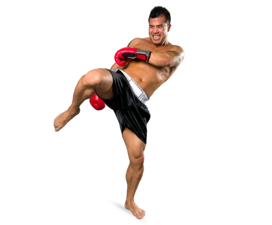 Mixed Martial Arts (MMA)